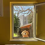 La Casa Di Judy E Frank
