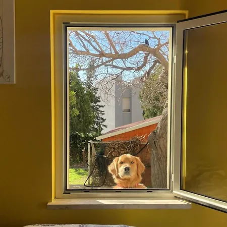 La Casa Di Judy E Frank